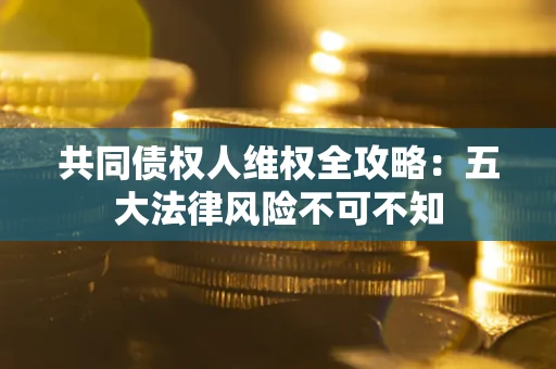 武汉共同债权人维权全攻略：五大法律风险不可不知