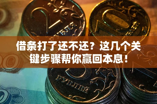 武汉借条打了还不还？这几个关键步骤帮你赢回本息！