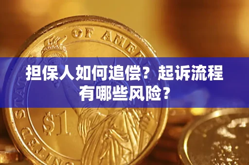 武汉担保人如何追偿？起诉流程有哪些风险？