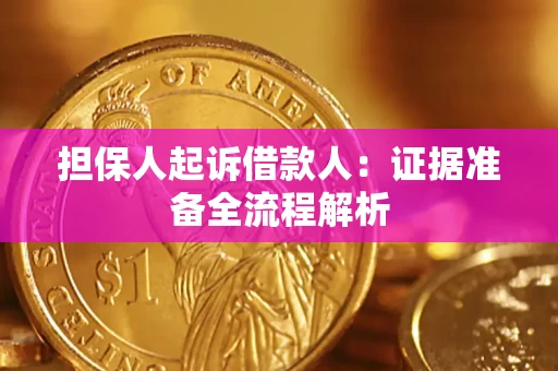 武汉担保人起诉借款人：证据准备全流程解析