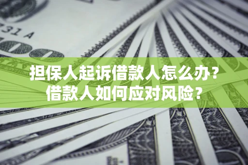 武汉担保人起诉借款人怎么办？借款人如何应对风险？