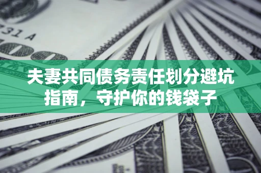 武汉夫妻共同债务责任划分避坑指南，守护你的钱袋子