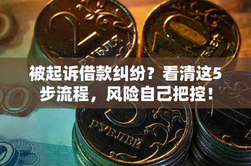武汉被起诉借款纠纷？看清这5步流程，风险自己把控！