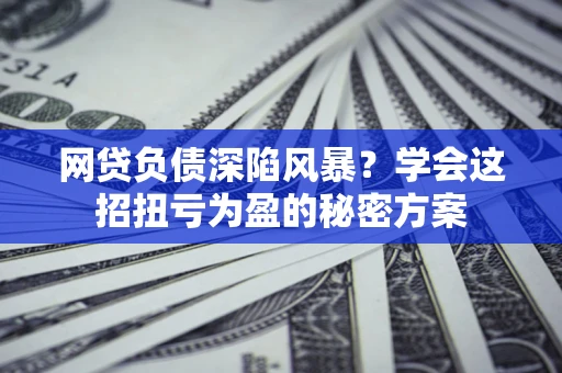 武汉网贷负债深陷风暴？学会这招扭亏为盈的秘密方案